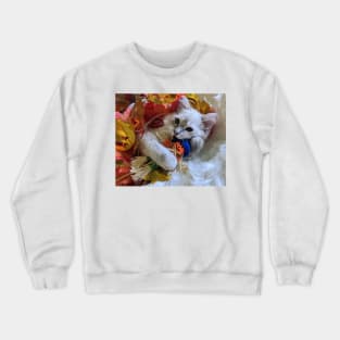 Saoirse ragdoll cat Crewneck Sweatshirt